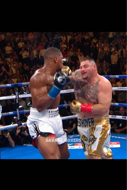 @Savage Boxers