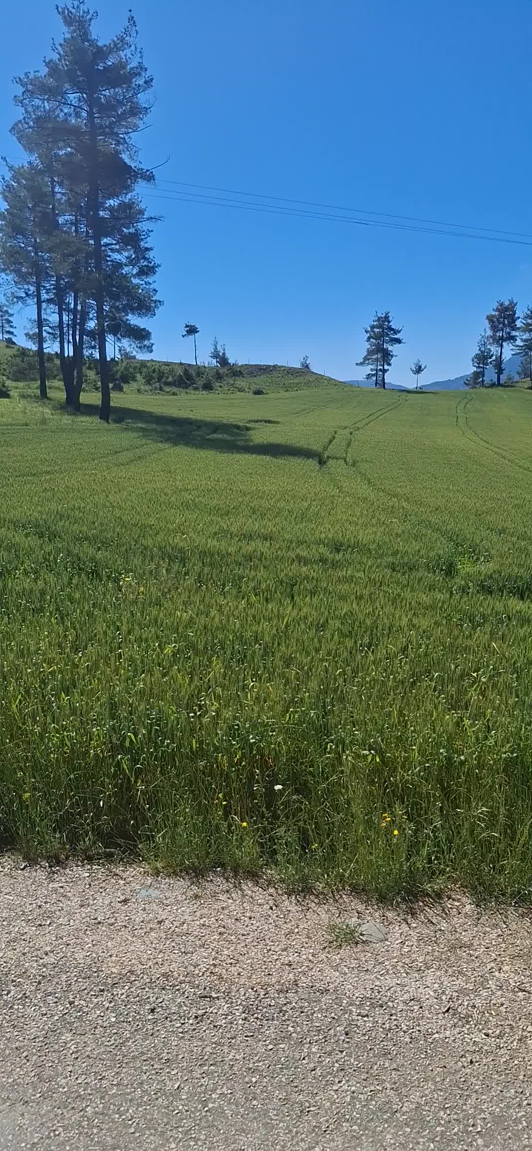 @014380