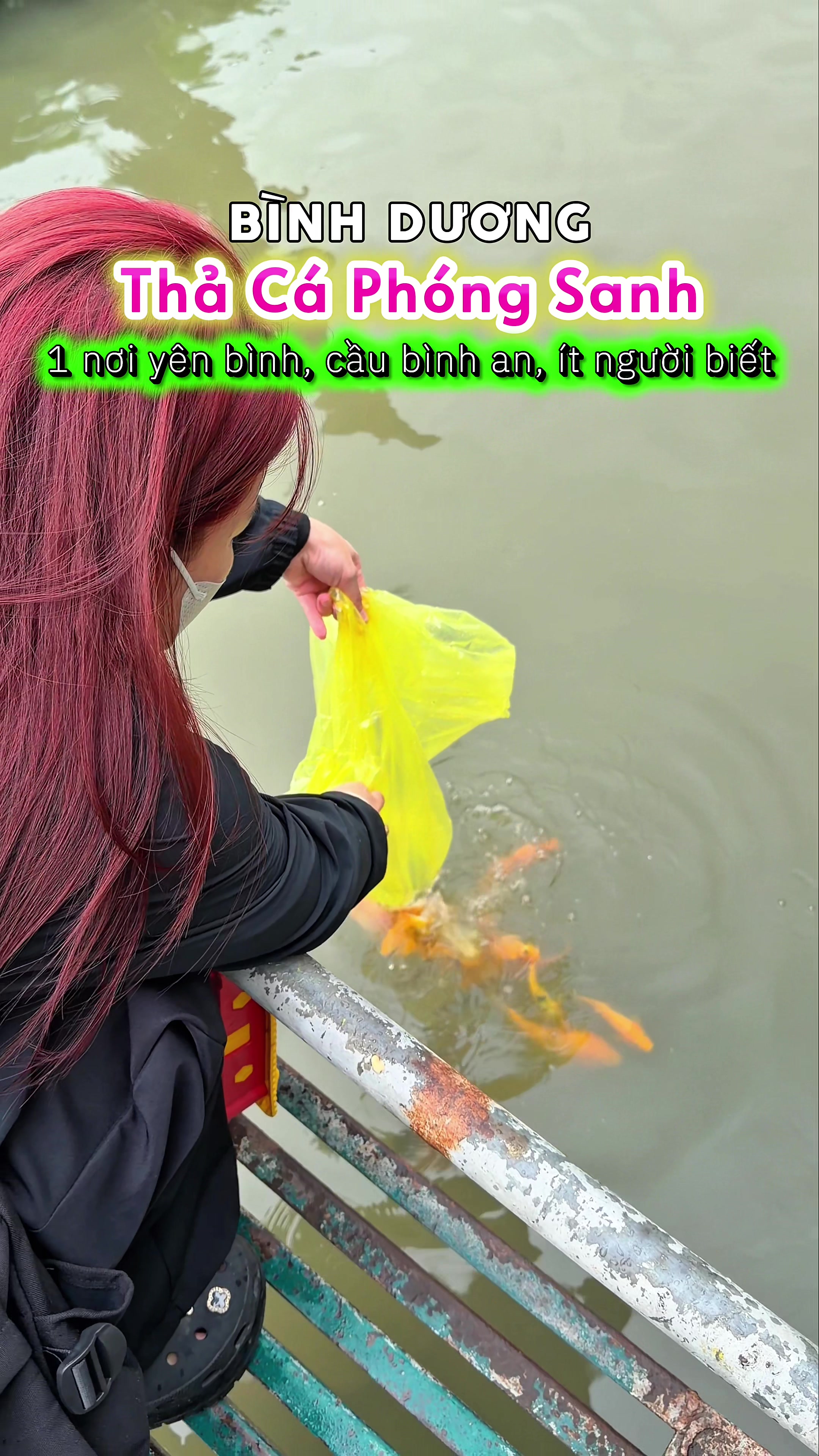@Đăng Đi Đâu Đó
