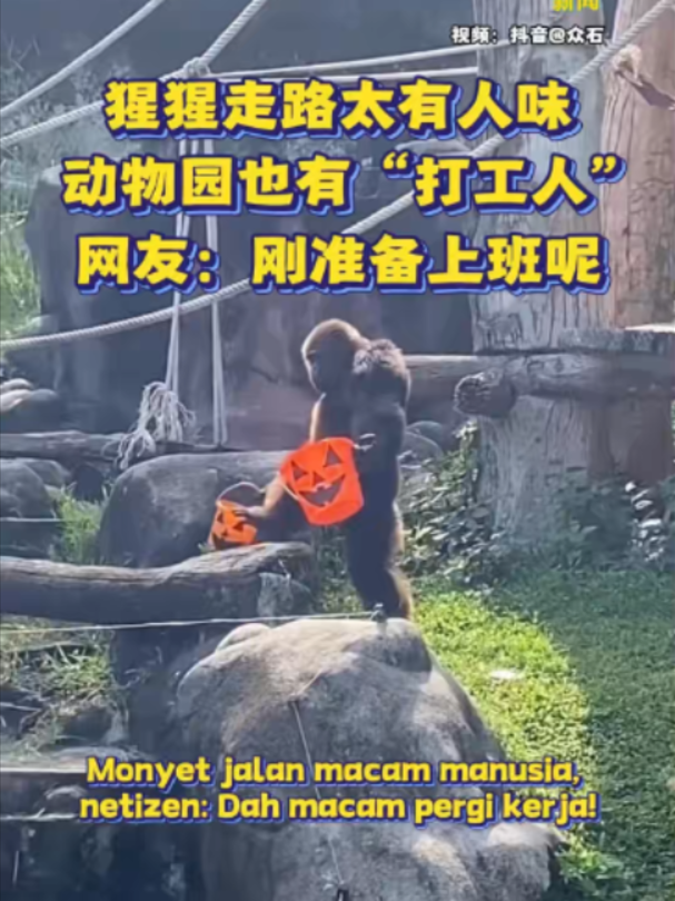@中国报
