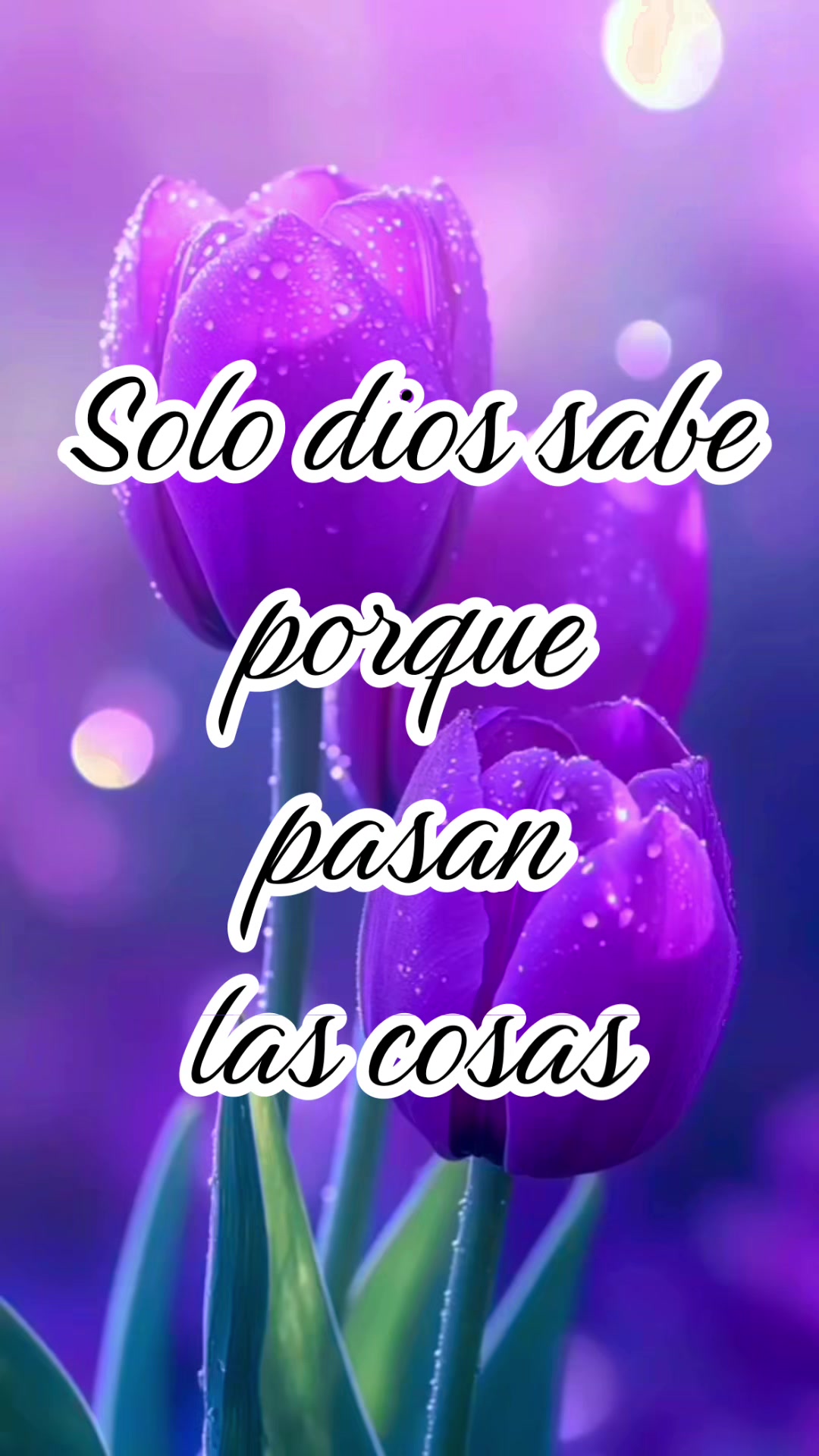 @Anahi