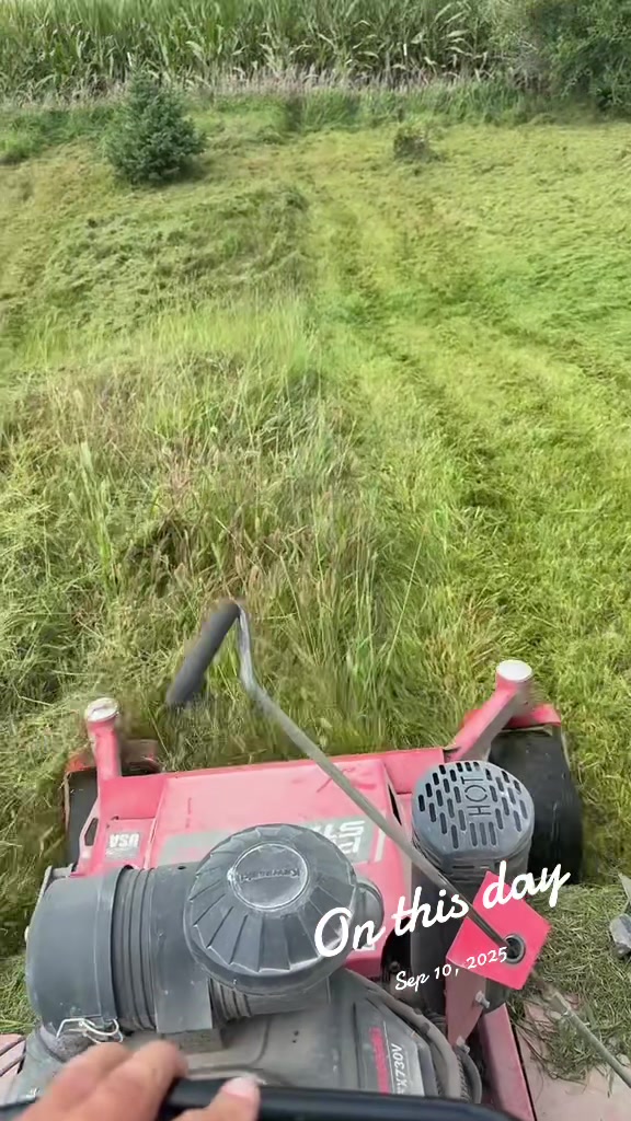 @mjslawncare