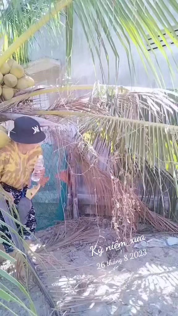 @🆚CÔ HAI NINH THUẬN