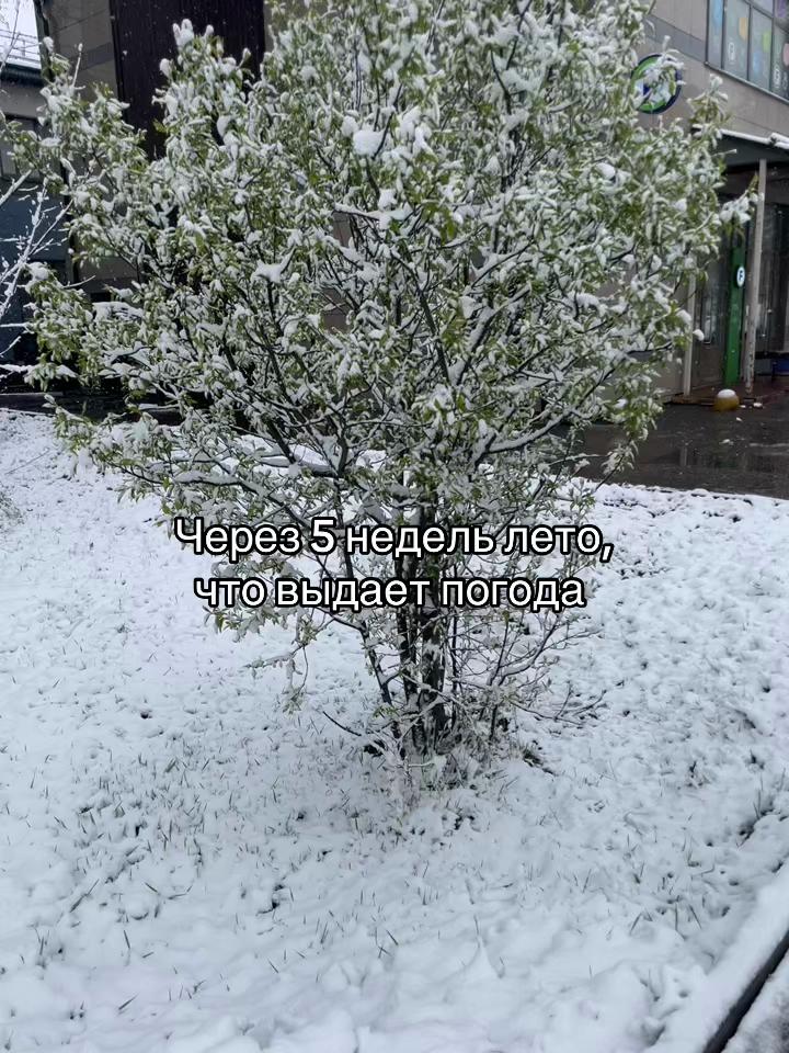 @Чо по кайфу то и делаю
