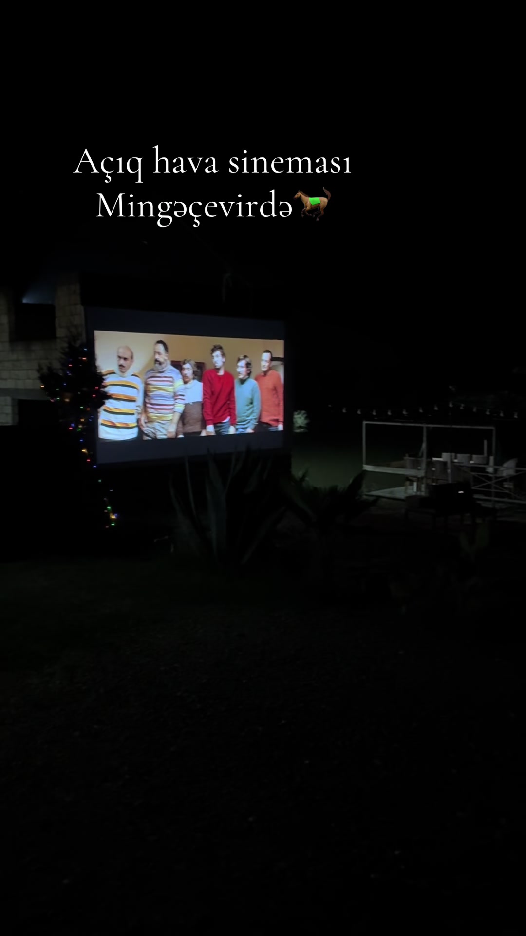 @Mingeçevir Atları