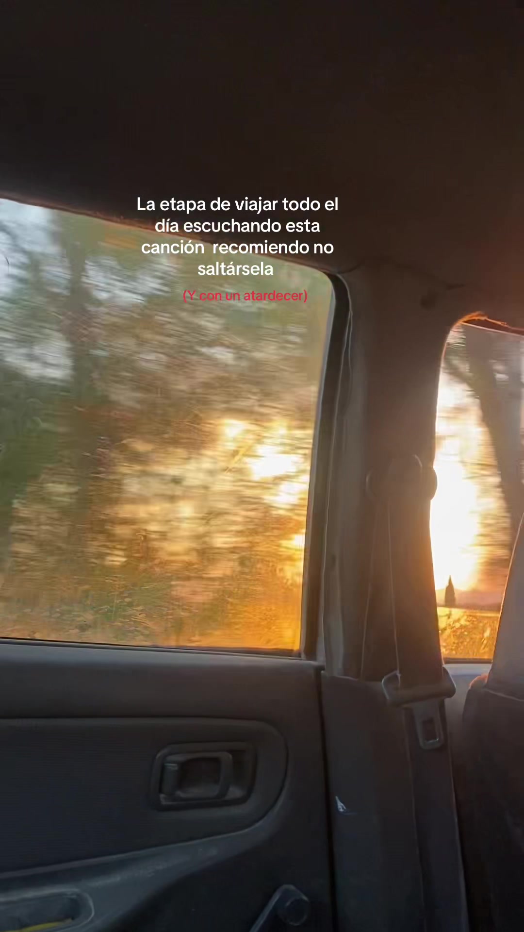 @Sofi Mora