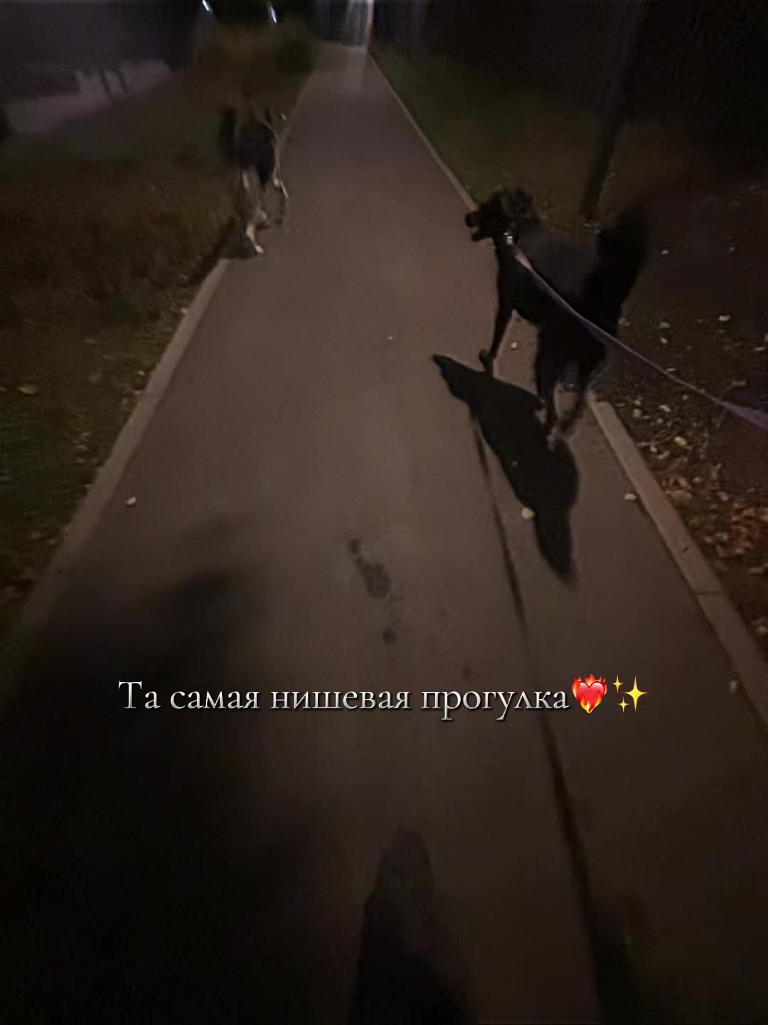 @✖️ Чертов Пес ✖️