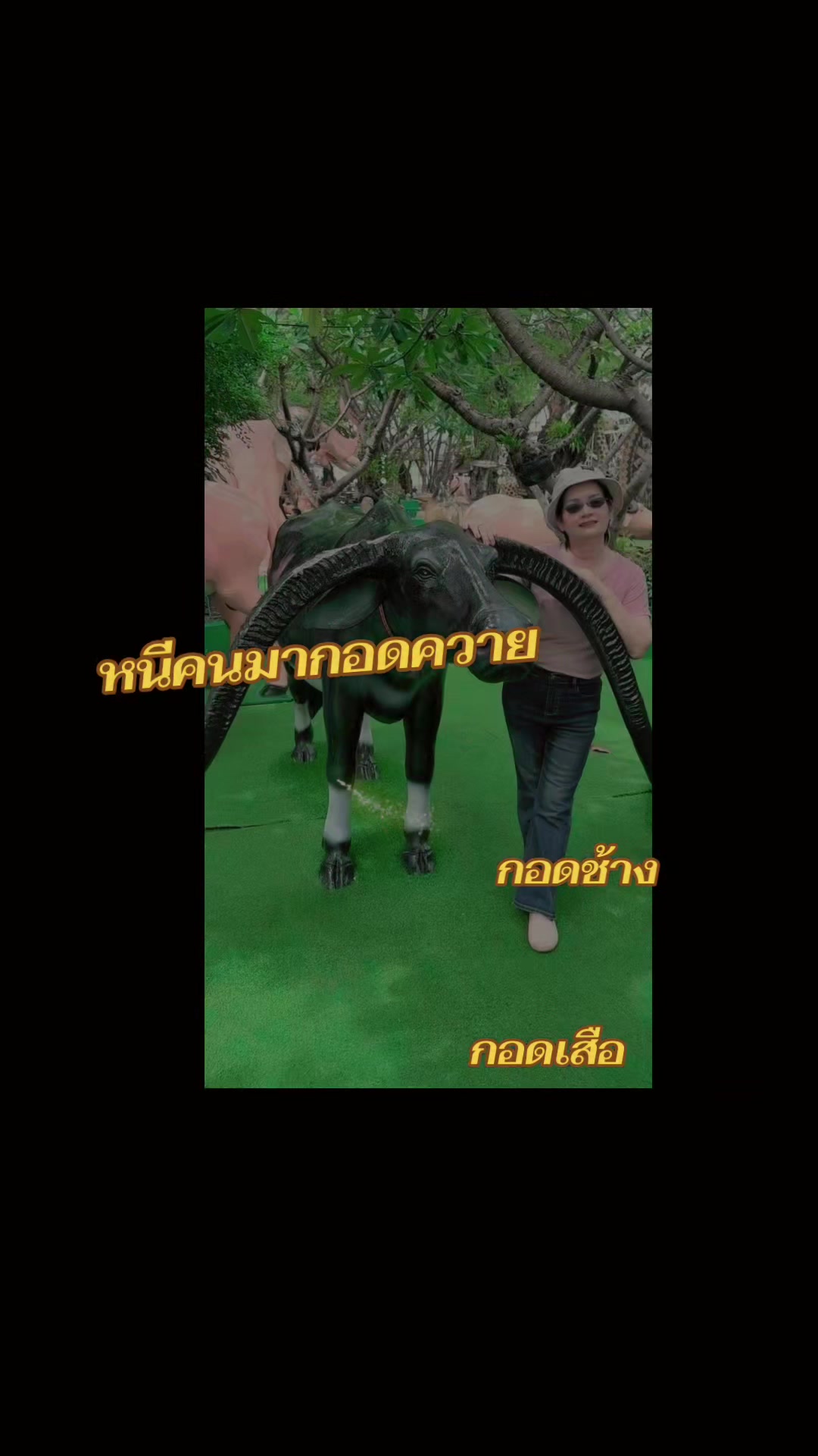 @นวลคะนวล
