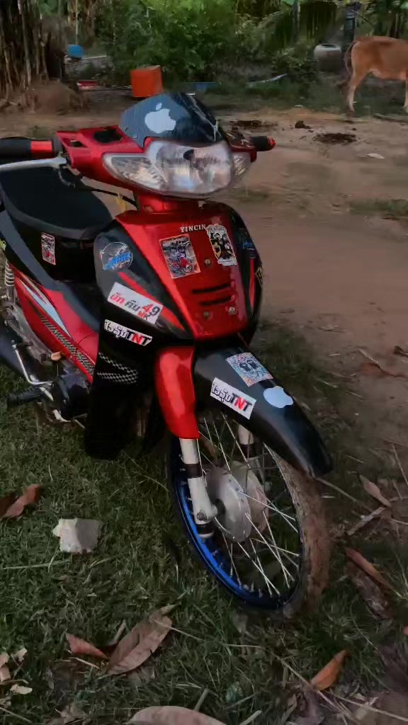 @𝓣𝓲𝓴𝓣𝓸𝓴:wช่งแว้น
