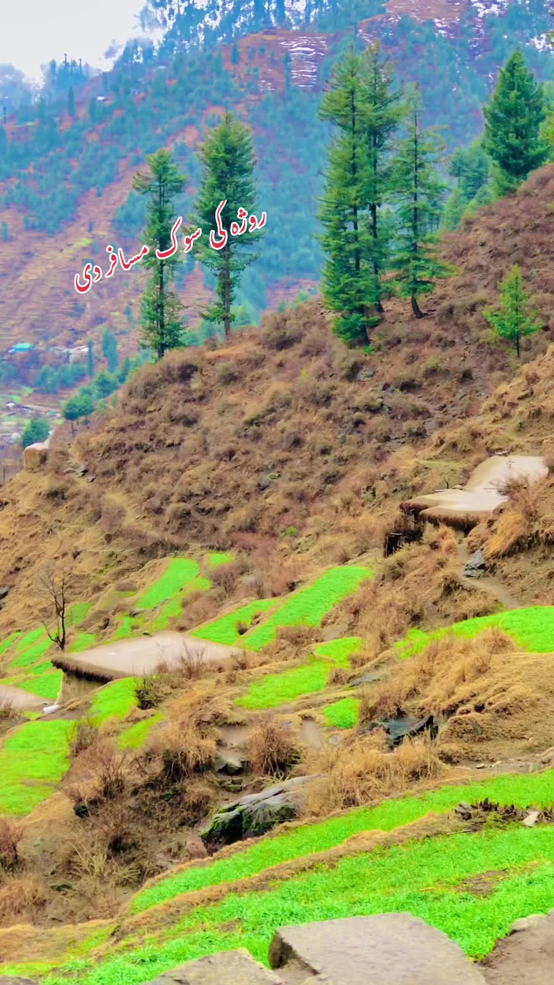 @Cute swatai