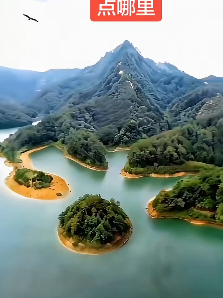 @水沭青龍