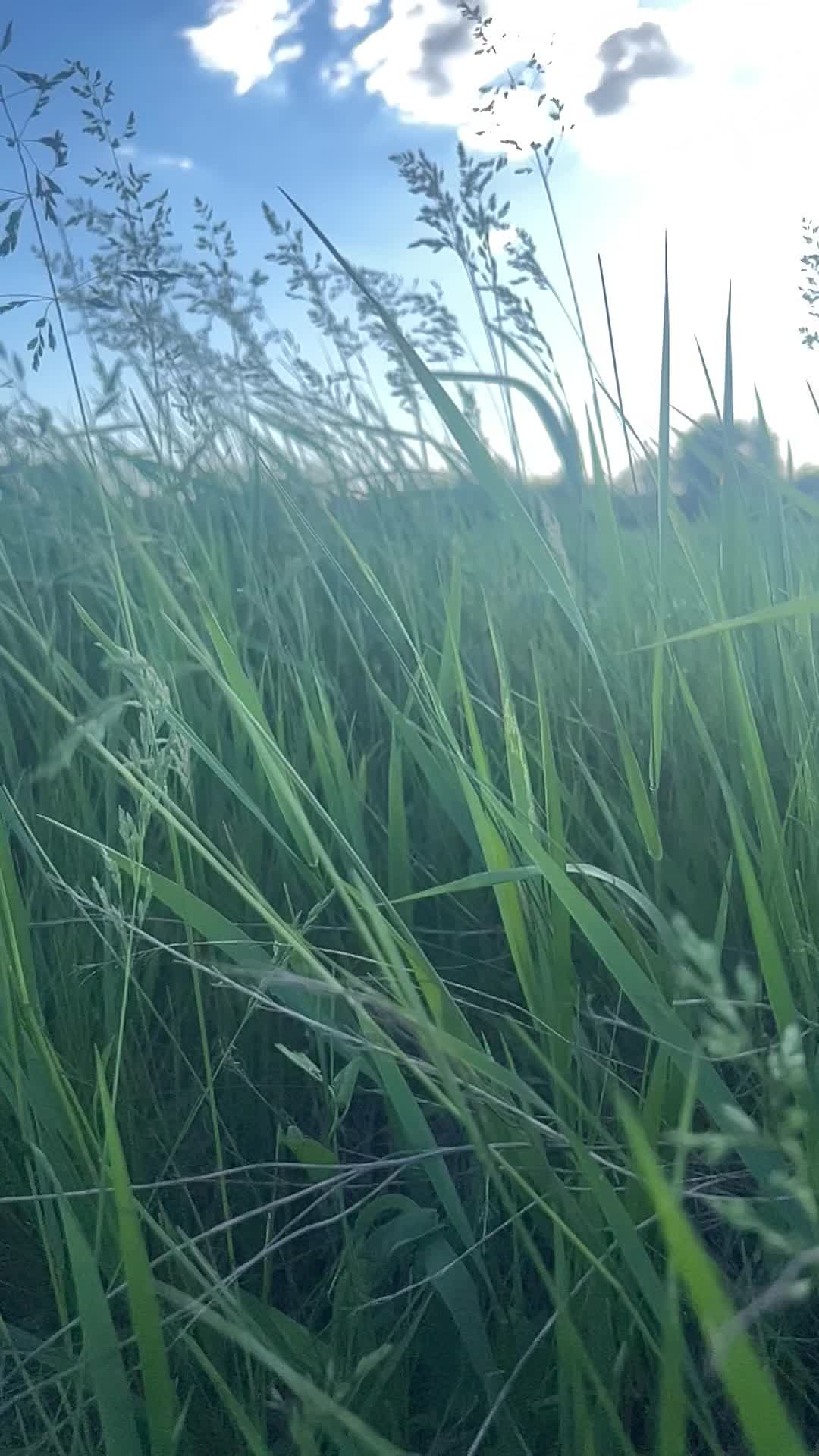 @Наталі🇺🇦💙💛