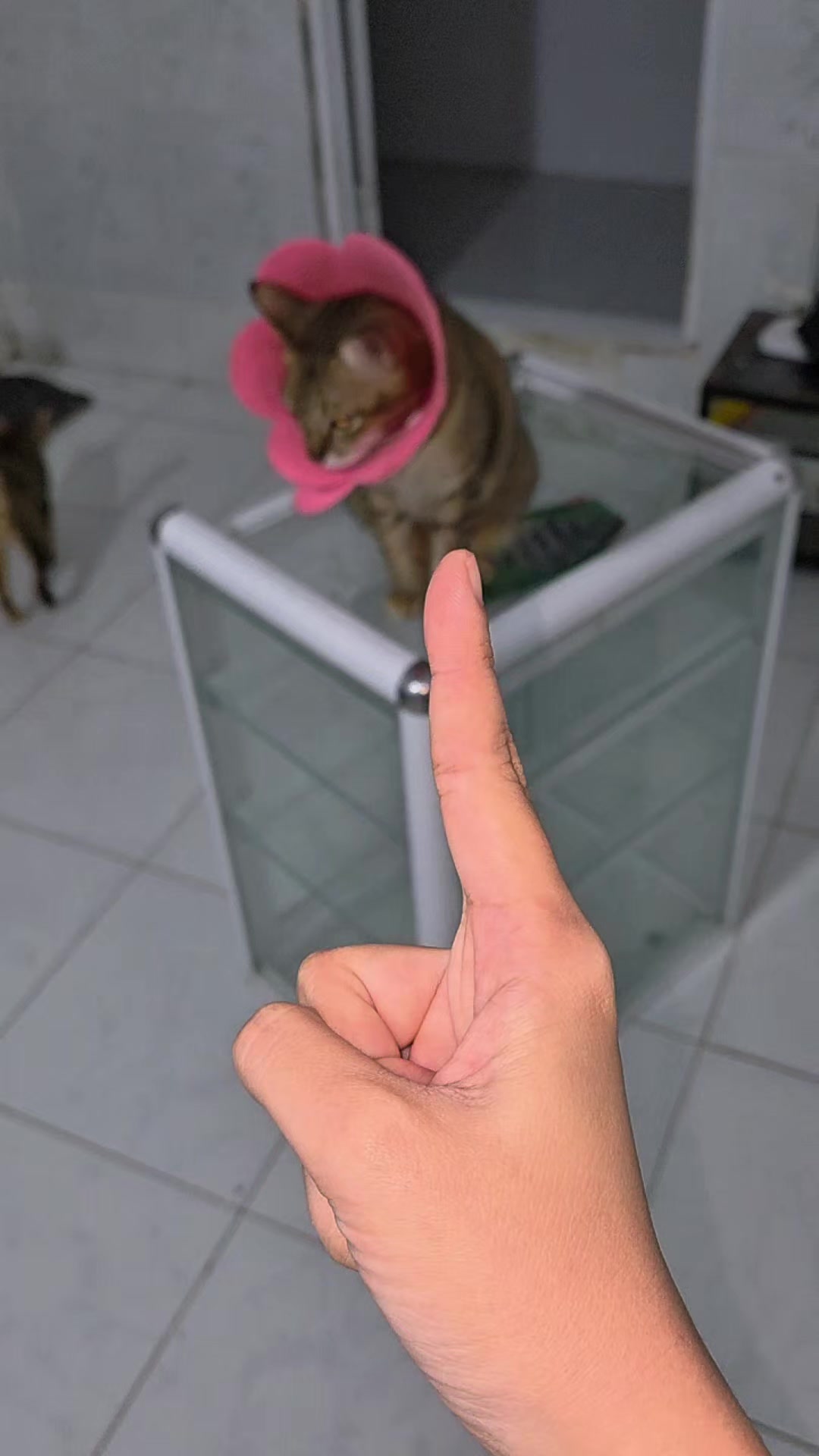 @Khế thúi