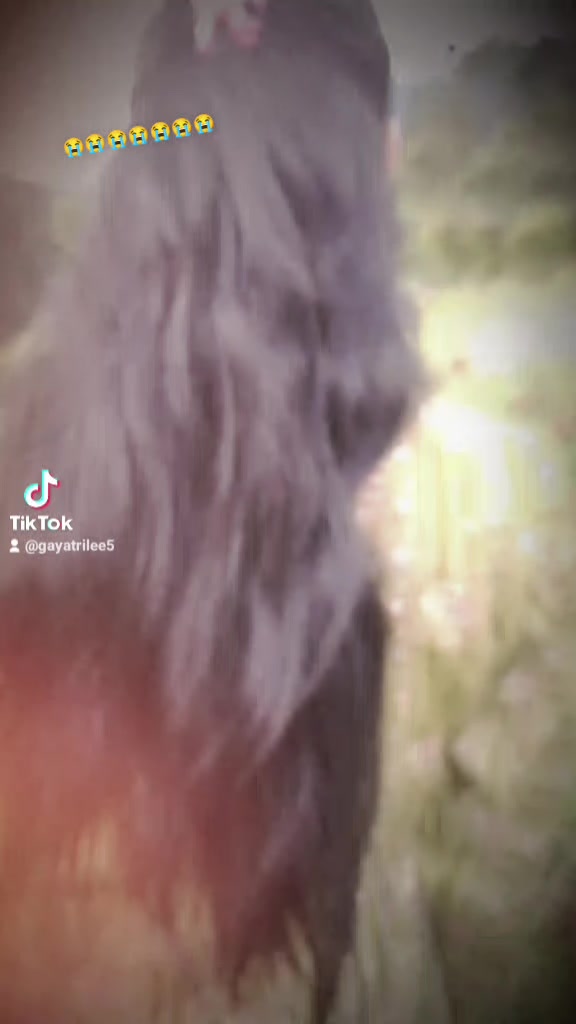 @गायत्री ओली 😘❤️🩹😭