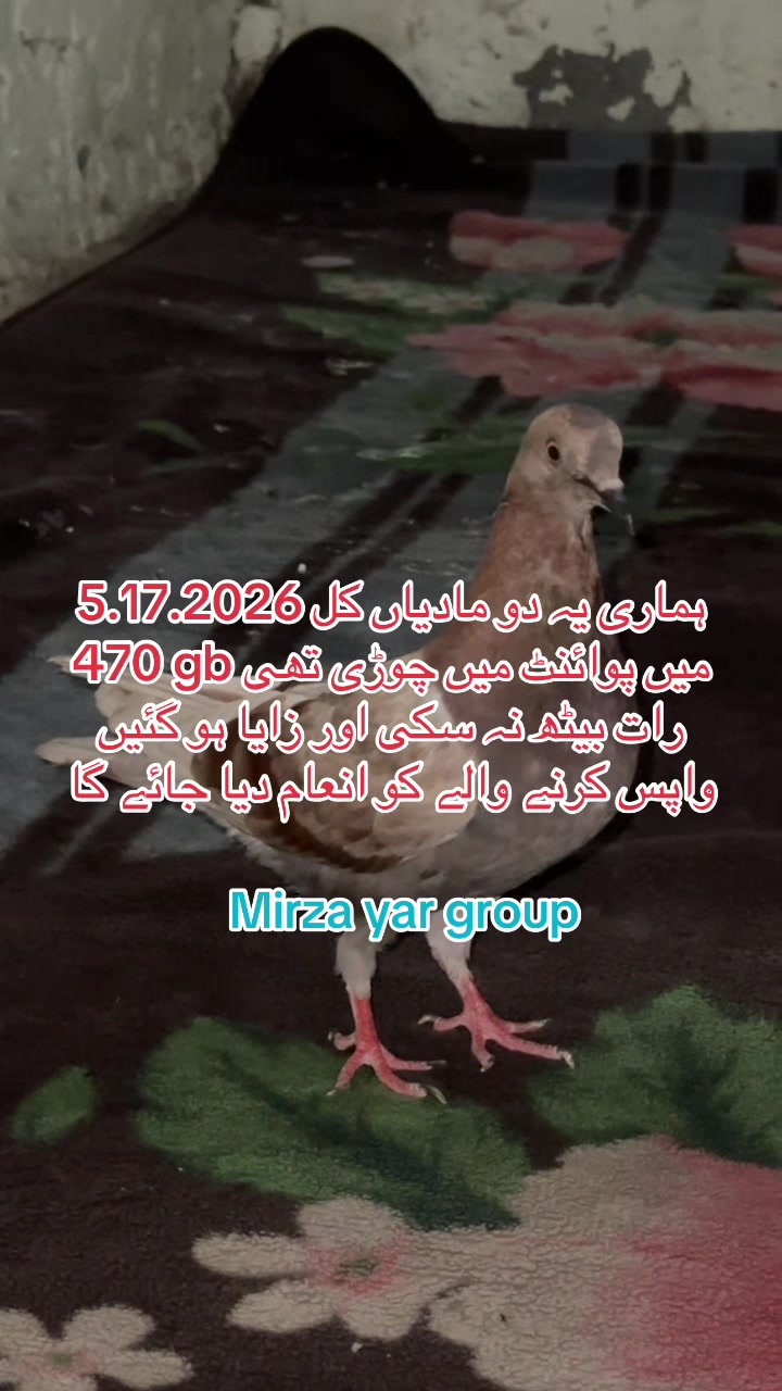 @Mirza Yar Mirza Yar