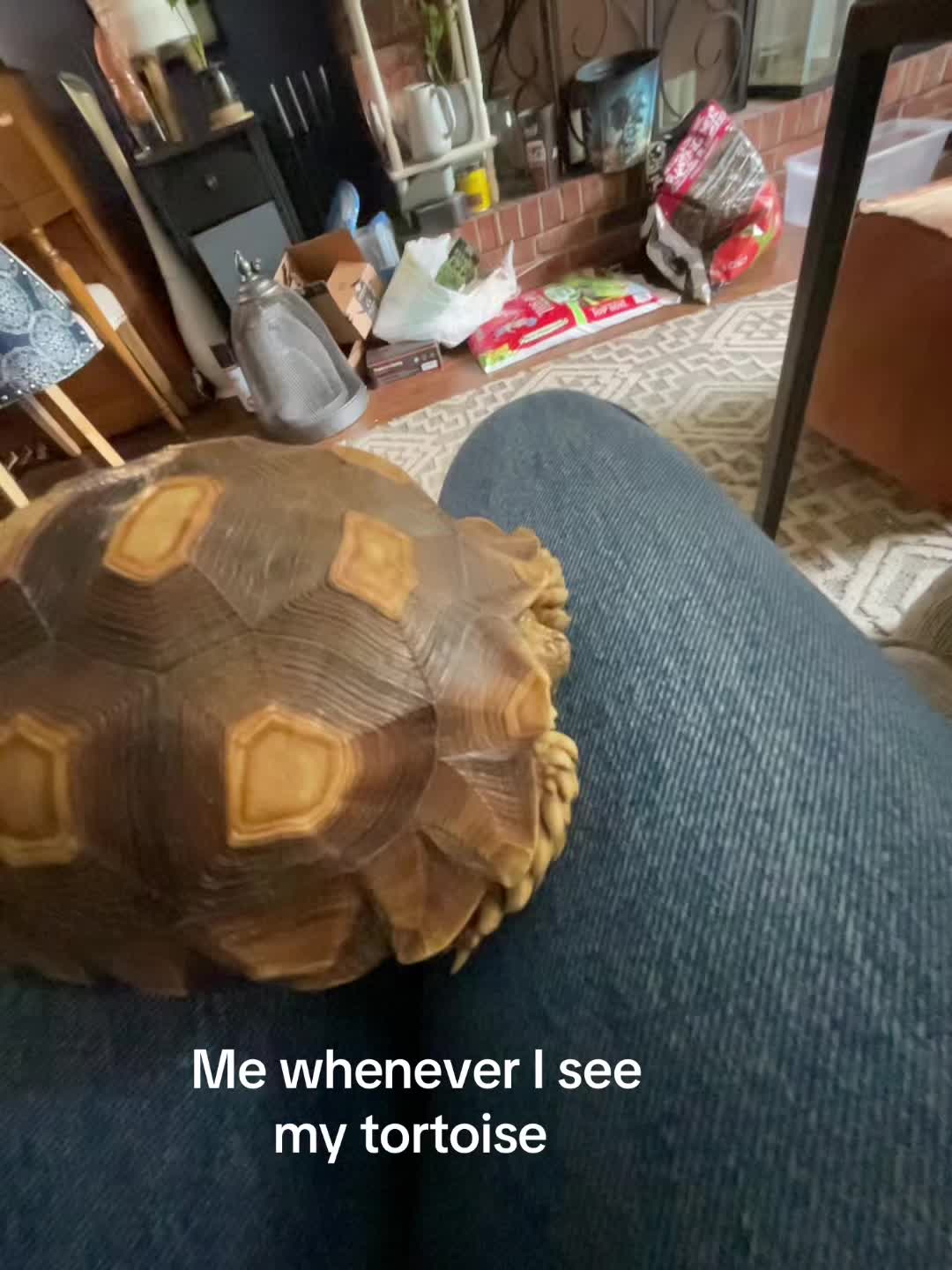 @𝑴𝒂𝒓𝒔