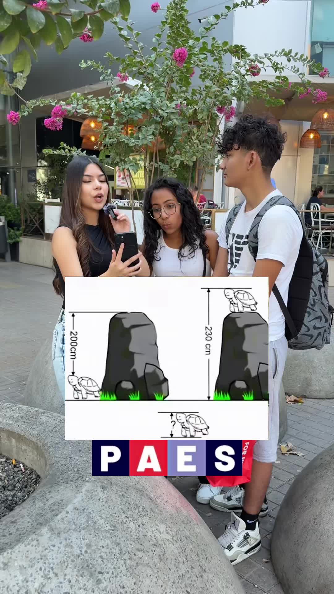 @Psudemate