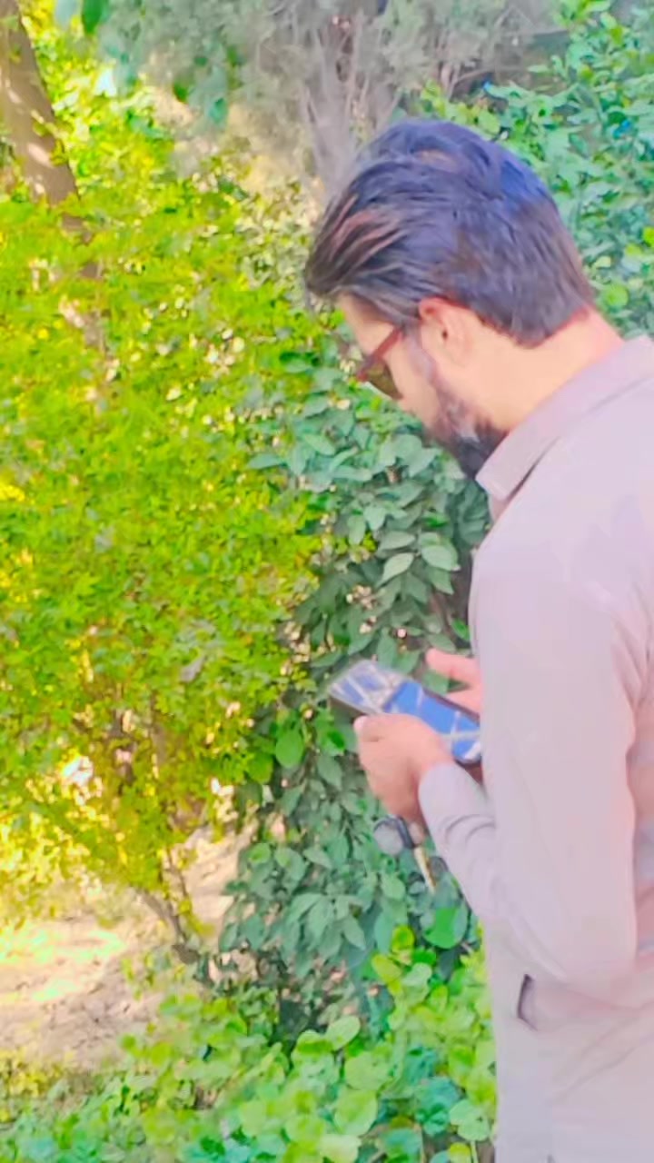 @sheeraz shairy