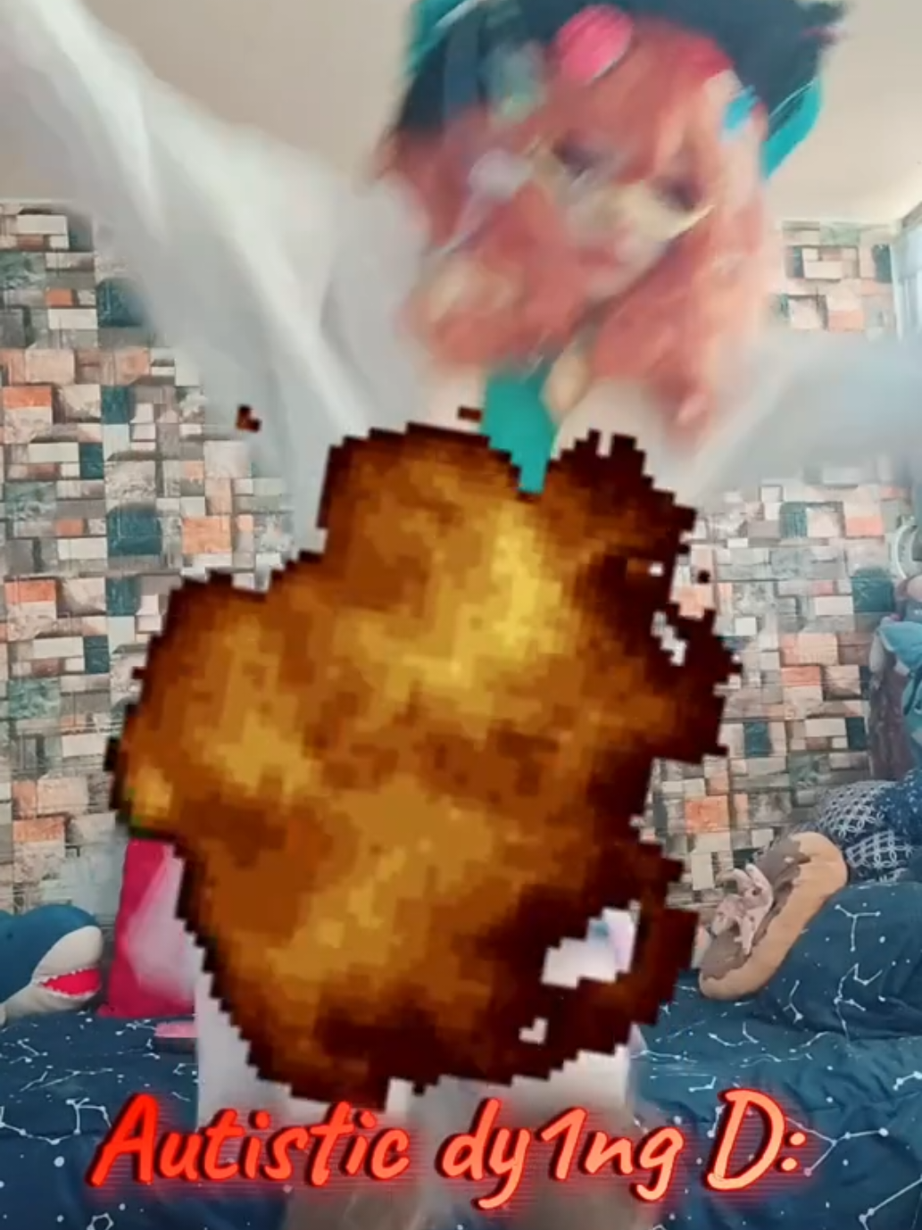 @𖡛𖢆𝐑𝐞𝐠 / 𝐒𝐡𝐮𝐢𝐜𝐡𝐢✢