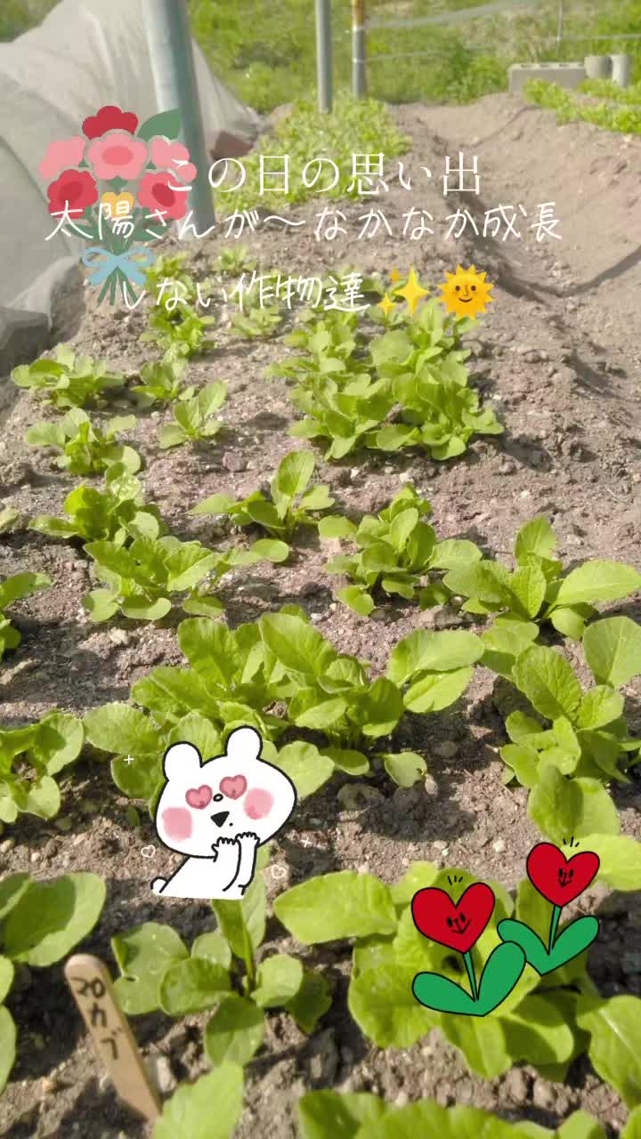 @ๆๅญ๐๐ฌ๐ง๐