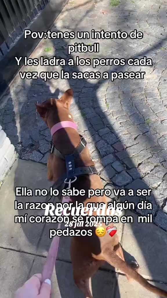 @Lulyysusrulitosssssss