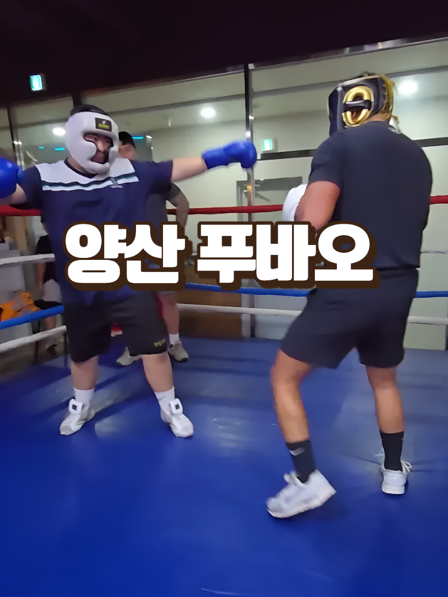 @LLBX 롱롱복싱