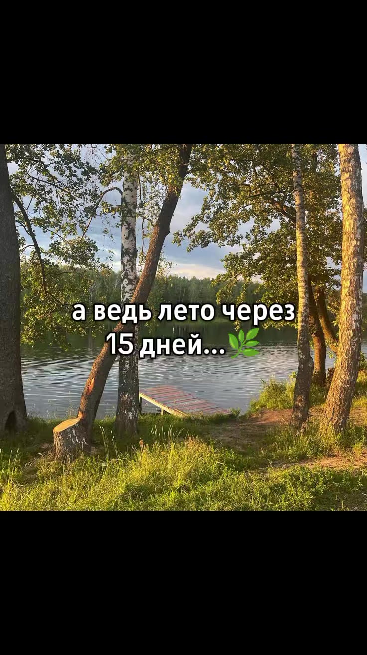 @🌾϶ᴧьɸ ᴧᴇᴛᴀ🍄