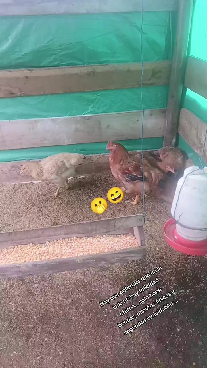 @🙏🕊️❤️