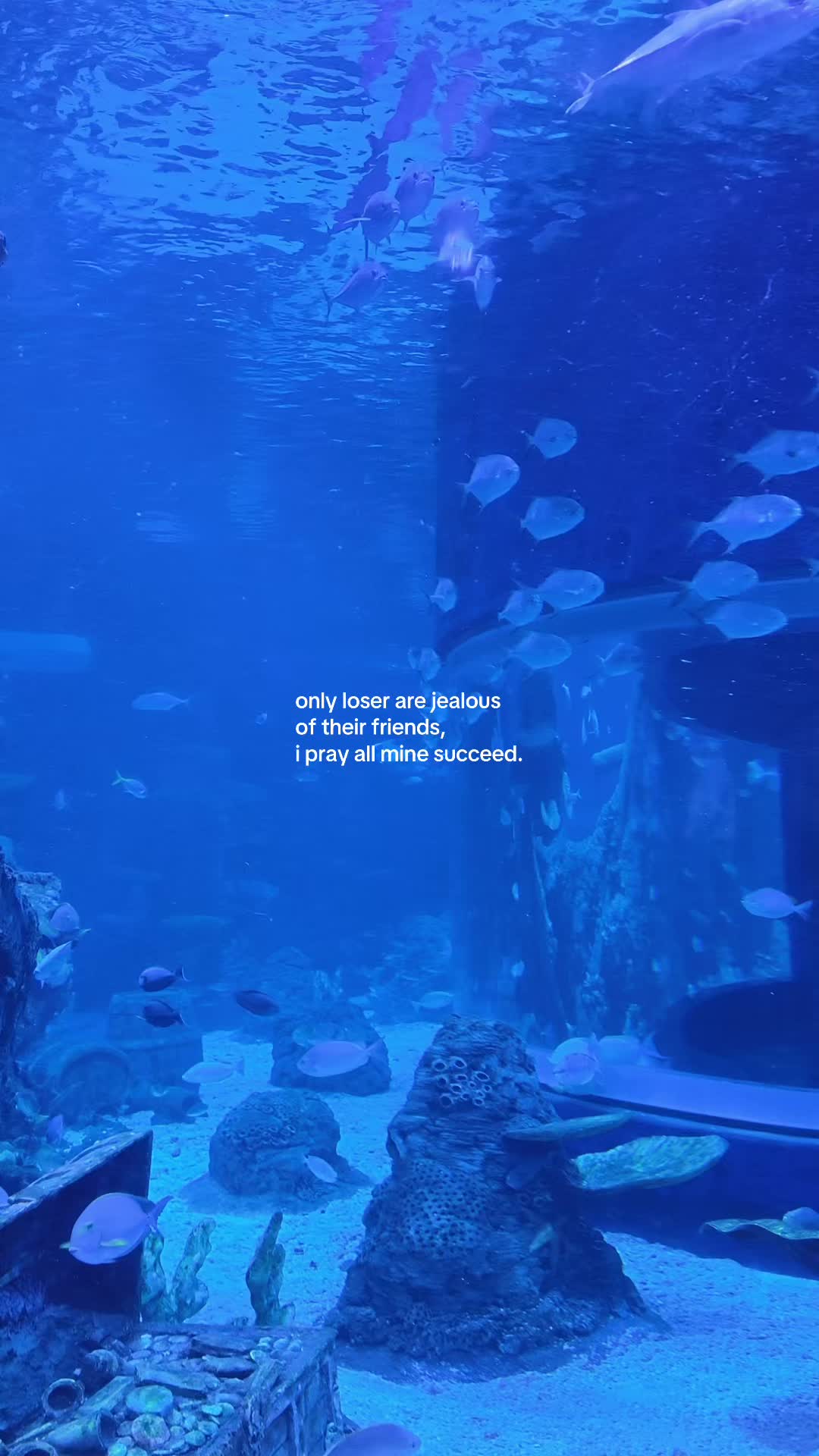 @something i couldn&rsquo;t say