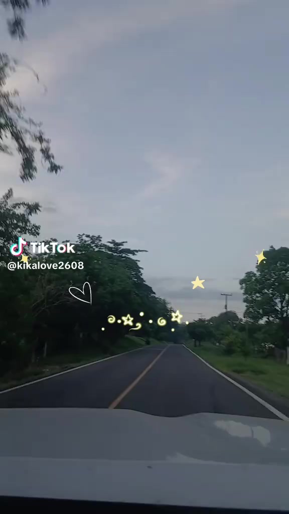 @bichota