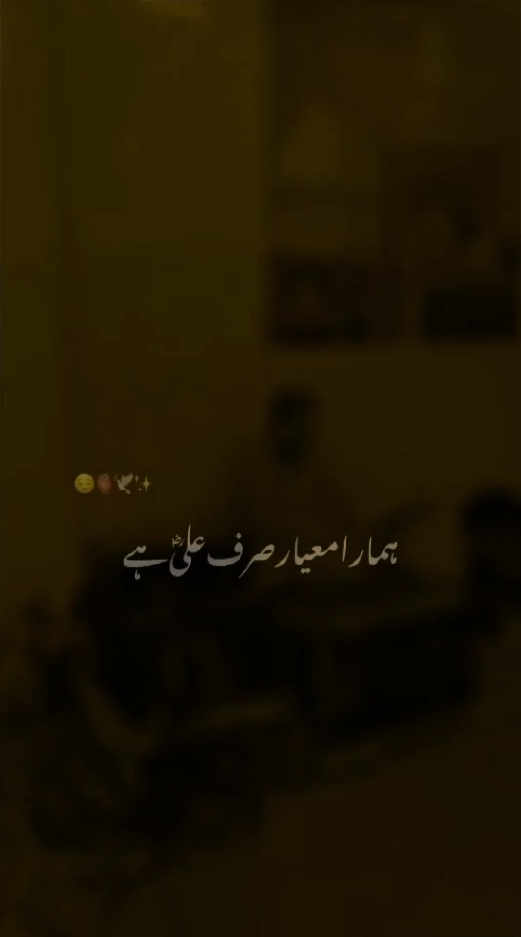 @New Shaheen 266