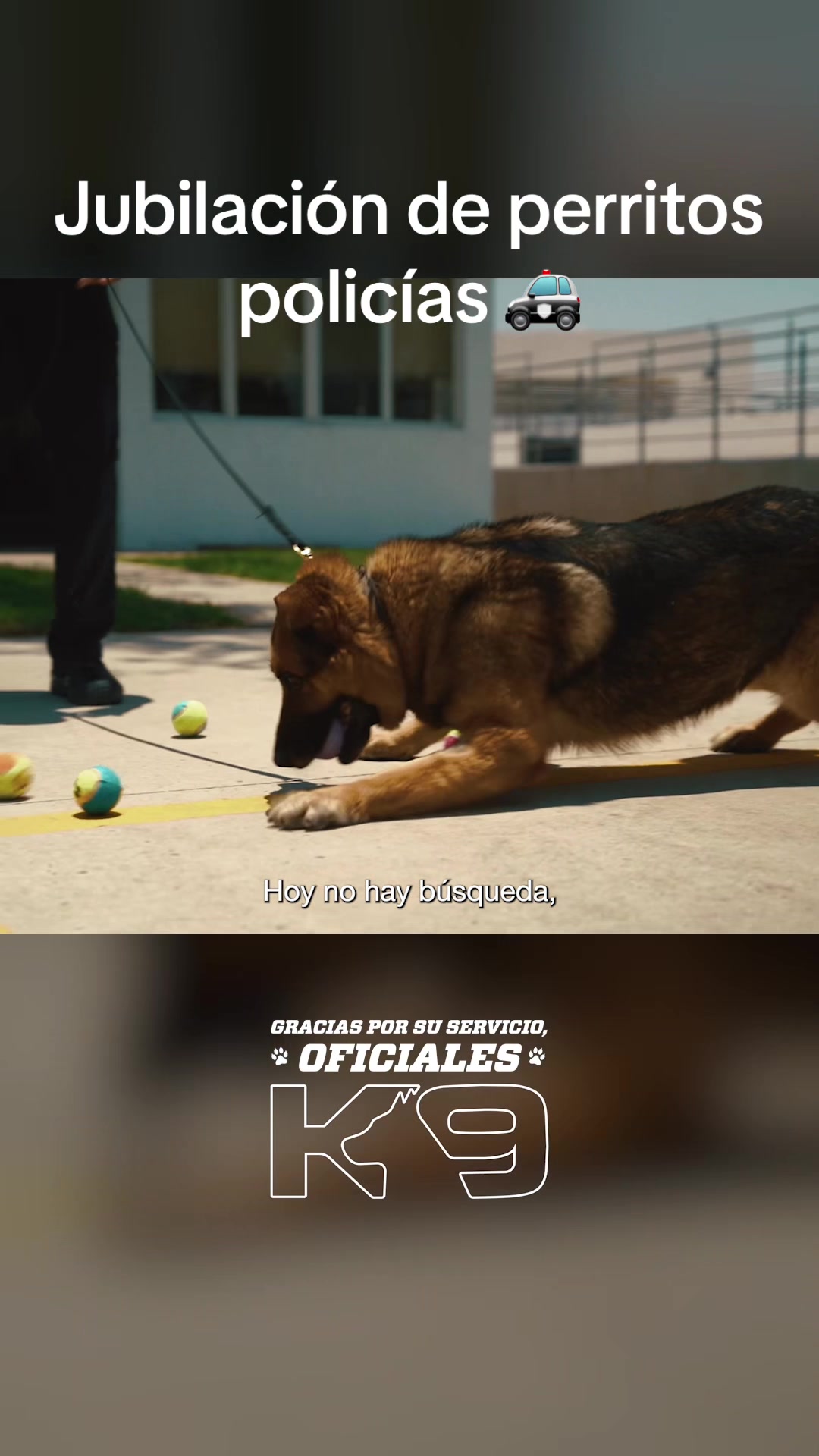 @Secretar&iacute;a de Seguridad y Paz