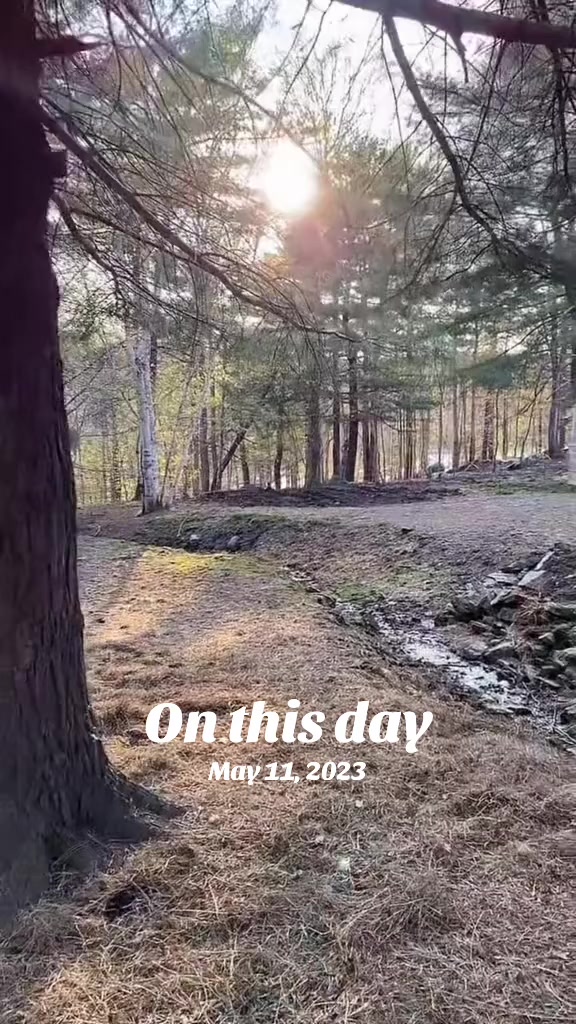 @Shelley Marshall 🇨🇦