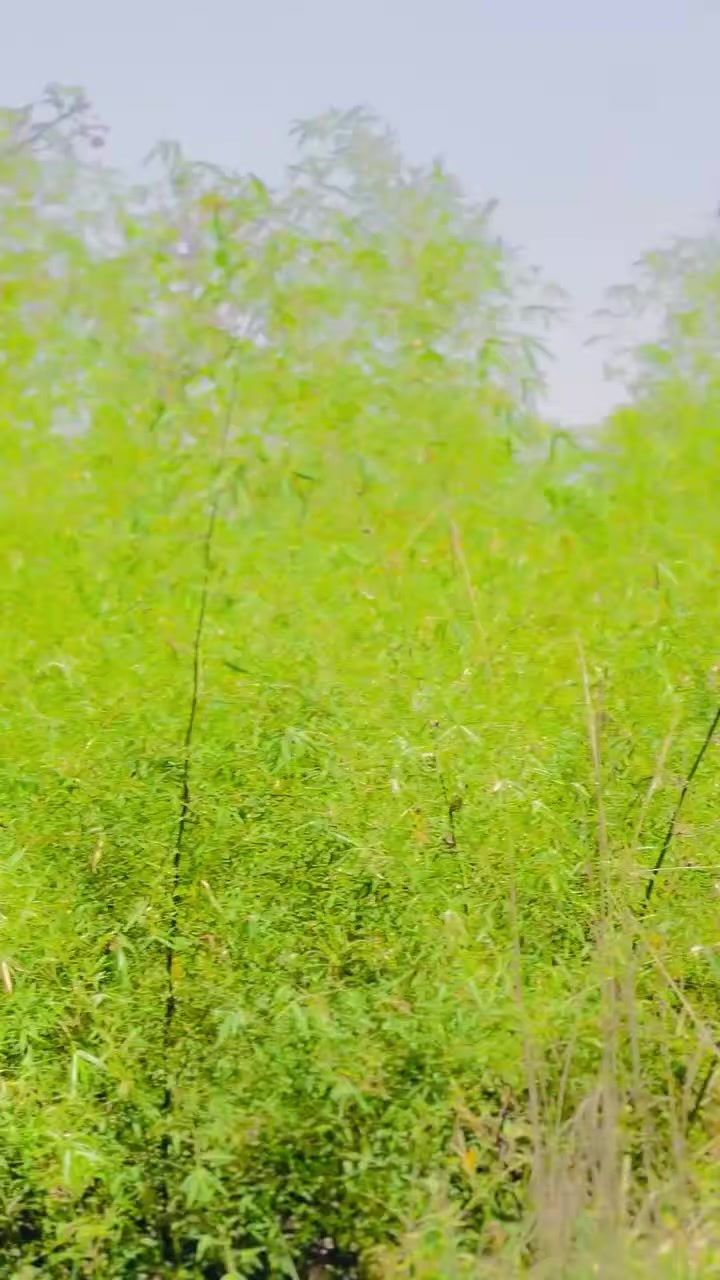 @گمنام✌️✌️