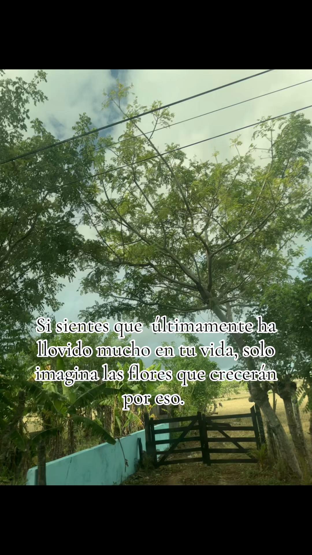 @️I’m perlucha🦋❤️