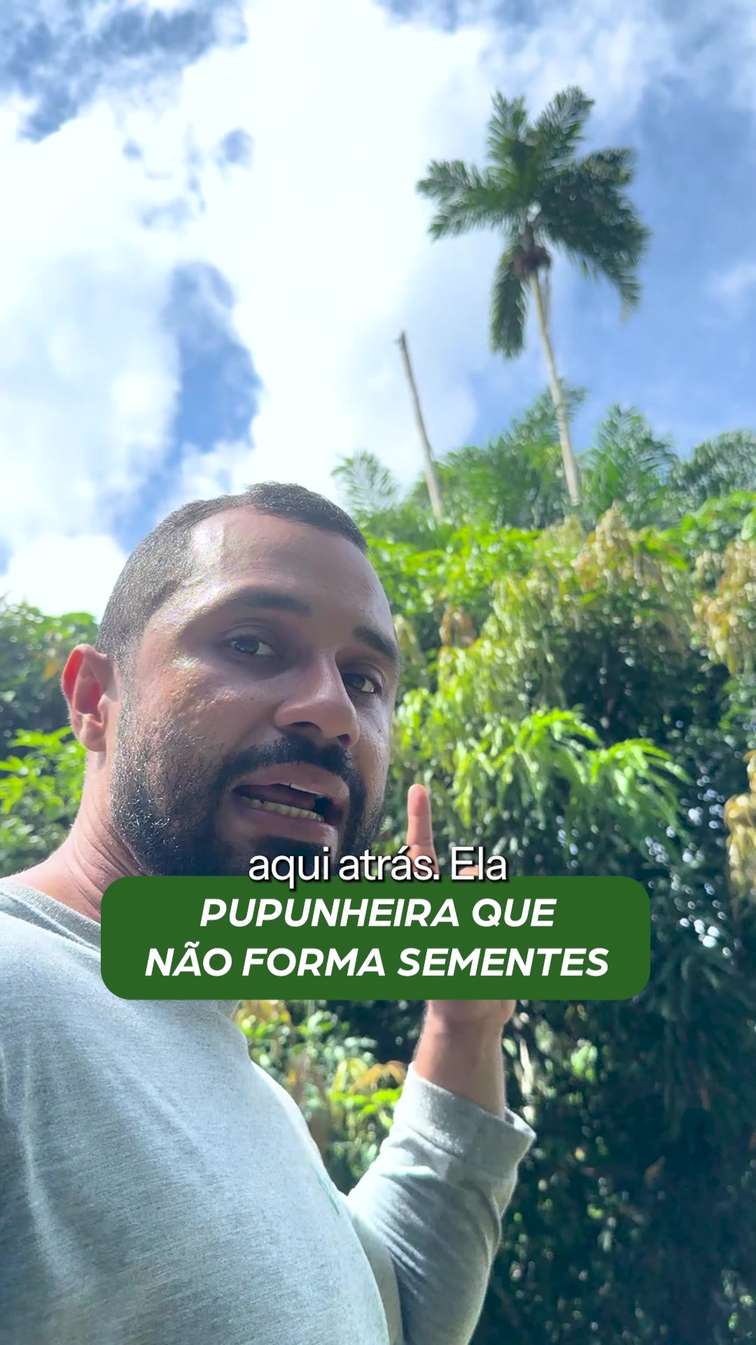 @ViveiroProMudas