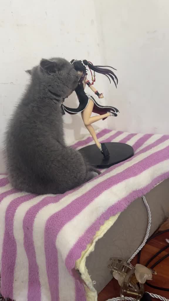 @𝙃𝙖𝙧𝙞𝙣_𝙘𝙝𝙖𝙣 🎀