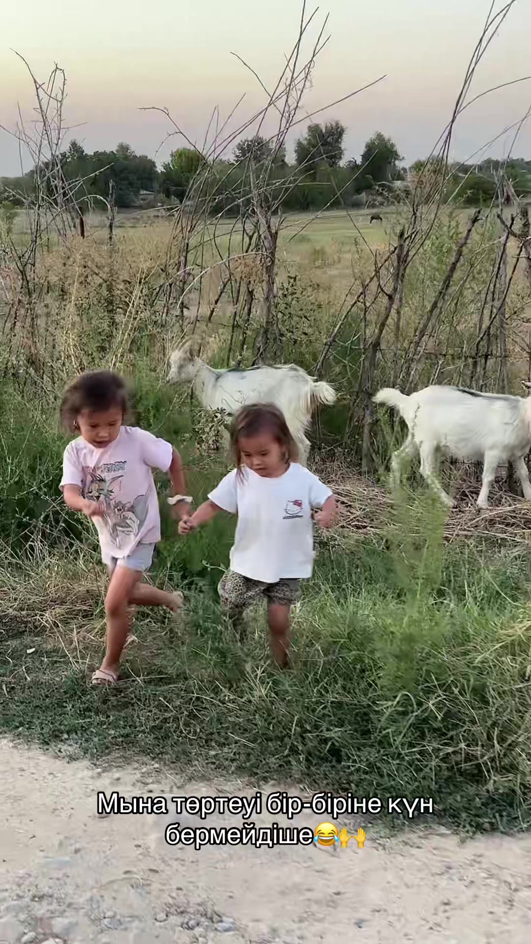 @sagyndyk.sadyk