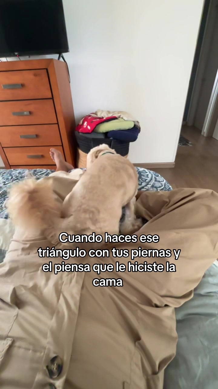 @Beyli