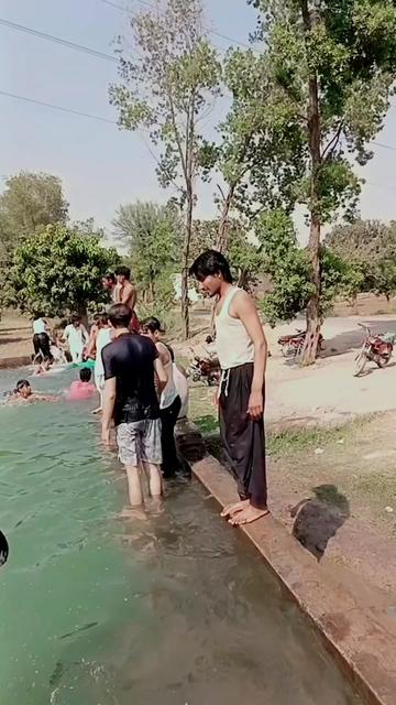 @alisial110