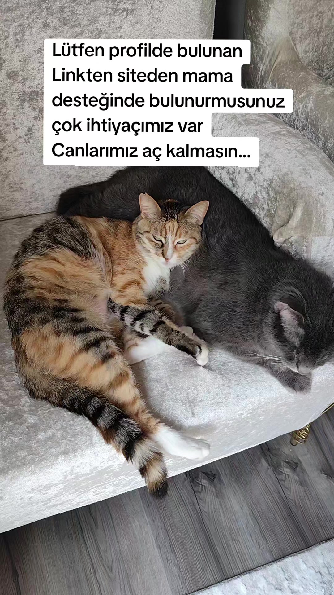 @@kedisizevolmaz