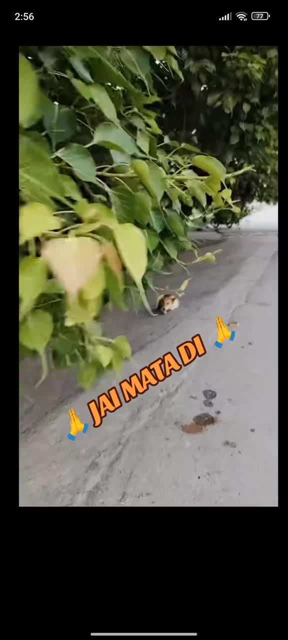 @Riyanshu.  yadav