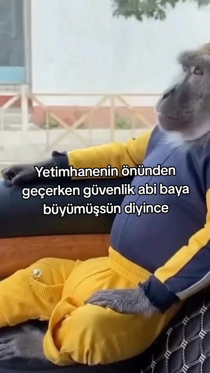 @rolland