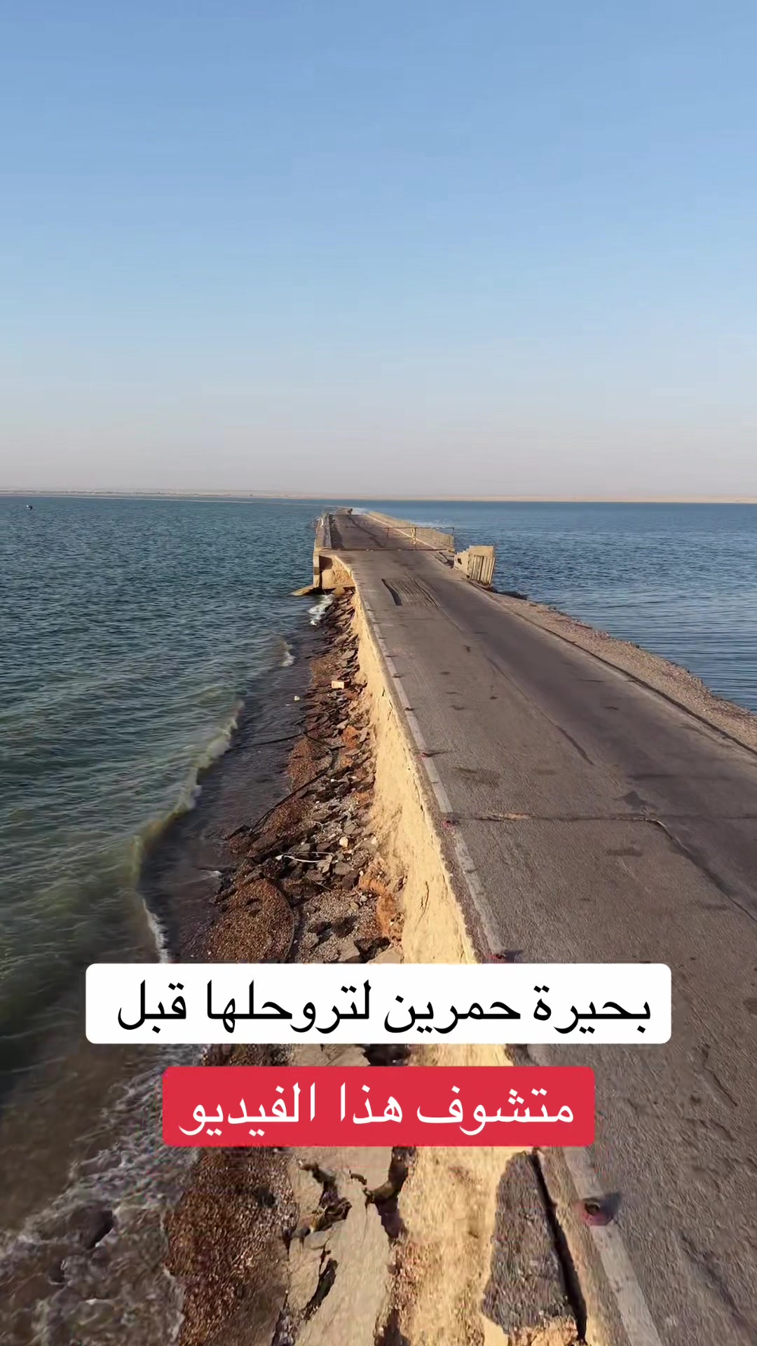 @صافي نبيل