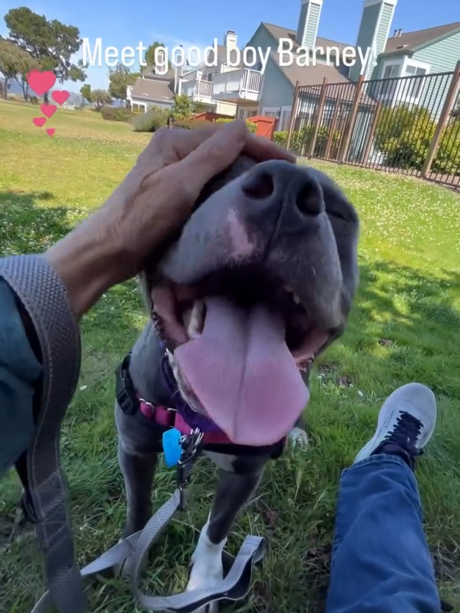 @Oakland Animal Services