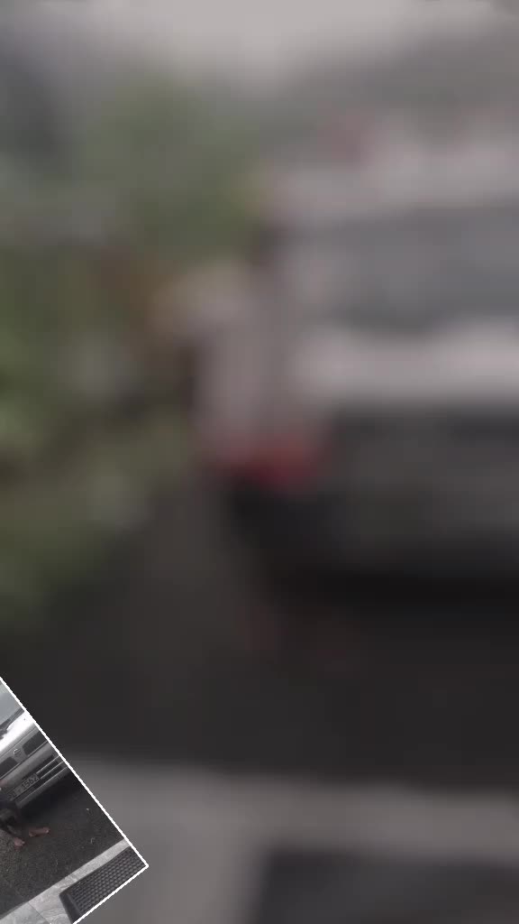 @jaya