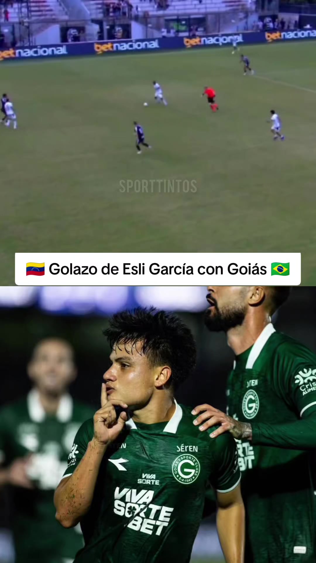 @Sporttintos