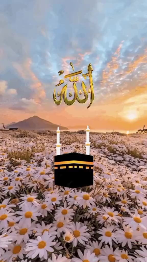 @اسلامی ویڈیو