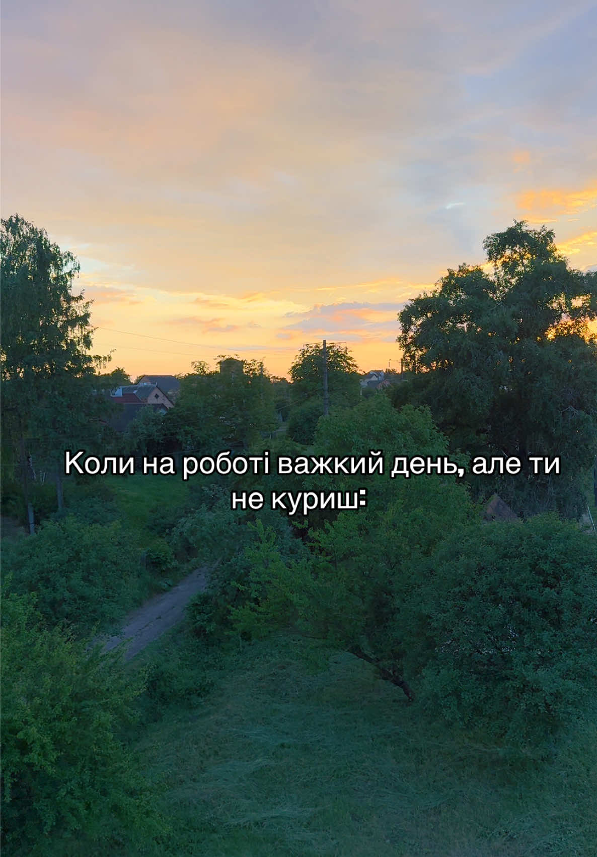 @Лєна🇺🇦