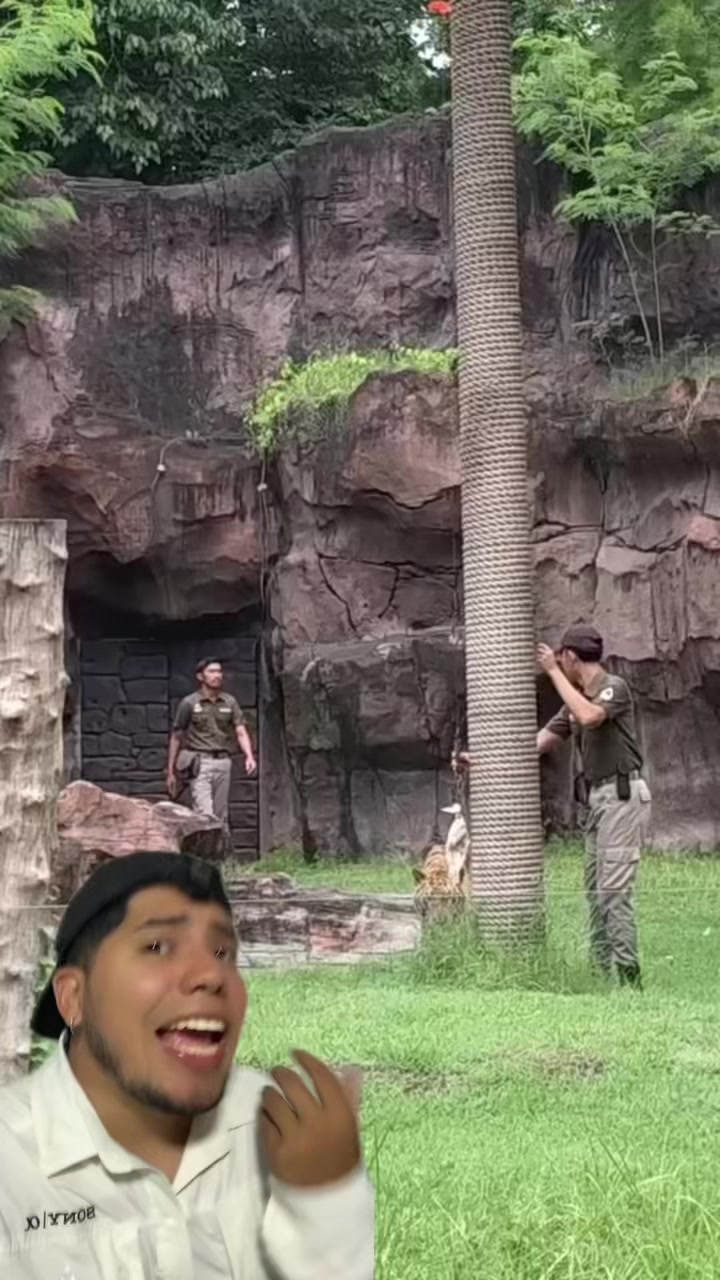 @Soy Sebassalvaje (dúos)